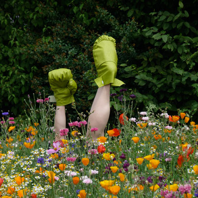 anabelle hulaut - voyez - semaphore